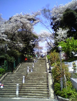 池上本門寺の階段