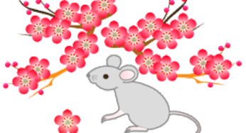 2008 謹賀新年 貧乏人が貧乏のまま幸せになれる年へ！