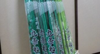 国会前で「九条ねぎ」を振りかざすデモ