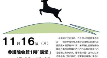 馬毛島の軍事基地化に反対する院内集会／参議院議員会館