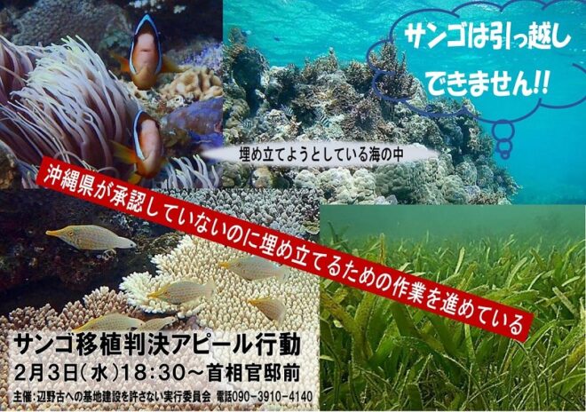 サンゴは引っ越しできません!! 辺野古サンゴ移植判決アピール行動