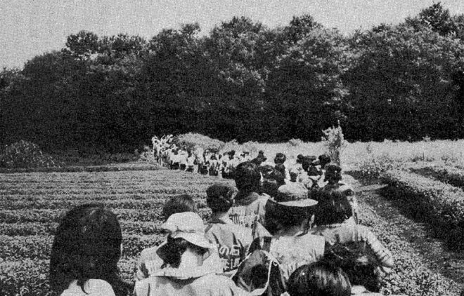 1974.8.18 狭山事件現地調査　埼玉県狭山市