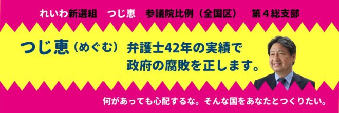 つじ恵 れいわ新選組参議院比例（全国区）第4総支部