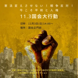 憲法変えさせない！戦争反対！今こそ平和と人権11．3国会大行動