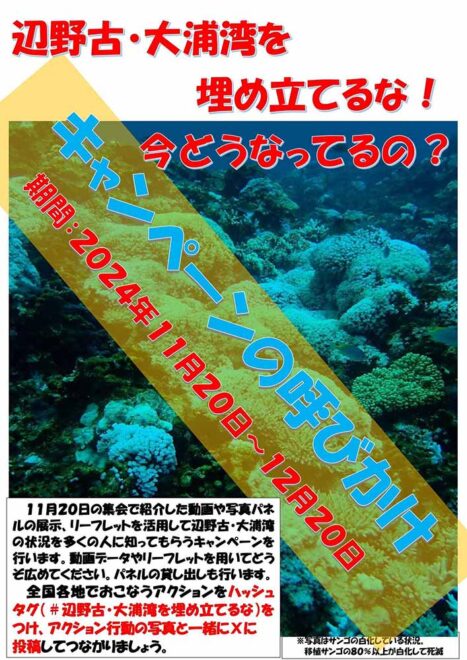 辺野古・大浦湾を埋め立てるな!今どうなってるの?キャンペーン