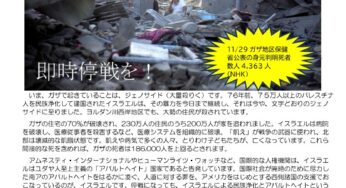 イスラエルはジェノサイドをやめろ！京都デモ