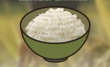 お米について知ろう～種子から考える、私たちの食の未来／墨田